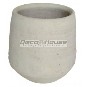 WP 116 (POT)