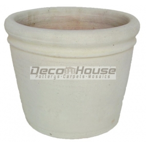 WP 117 (POT)