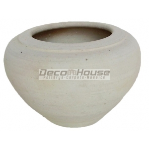 WP 118 (POT)
