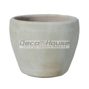 WP 115 (POT)